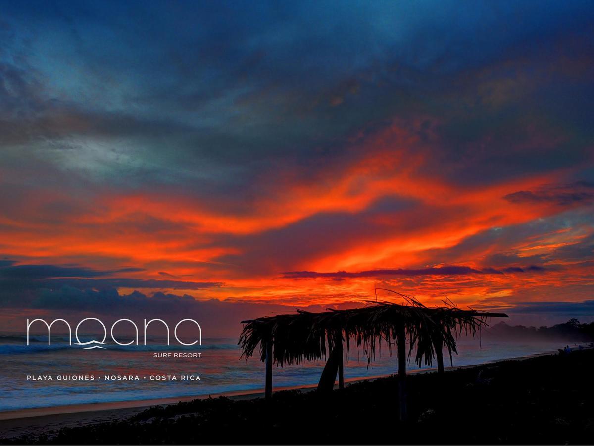 Moana Surf Resort Nosara Exteriér fotografie